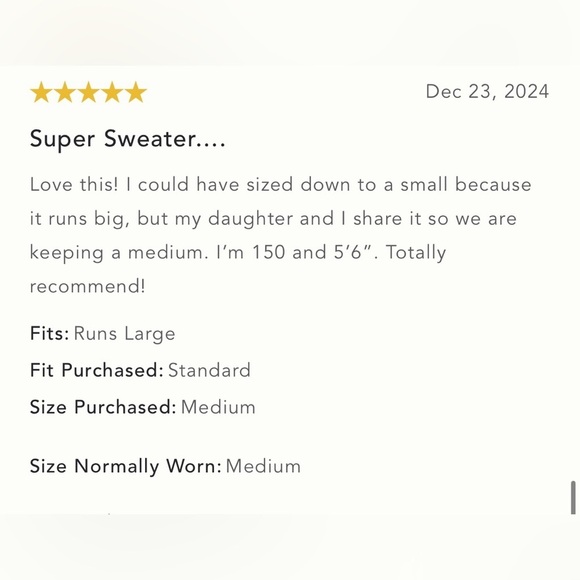 NWT Size M (P2P 26") - Anthropologie Relaxed Hooded Sweater - Picture 4 of 16